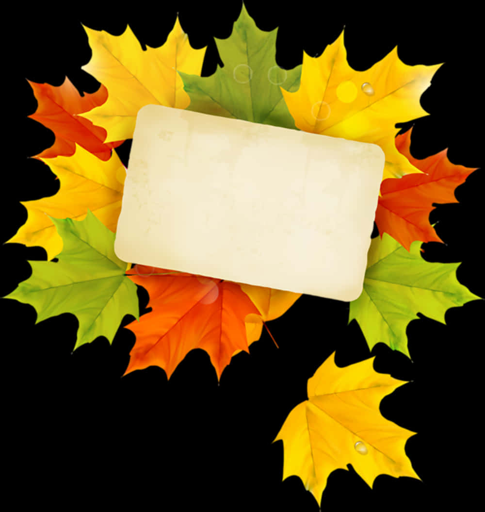 Autumn Leaves Frame Black Background PNG