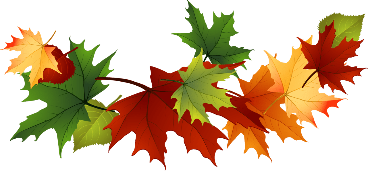 Autumn Leaves Garland PNG