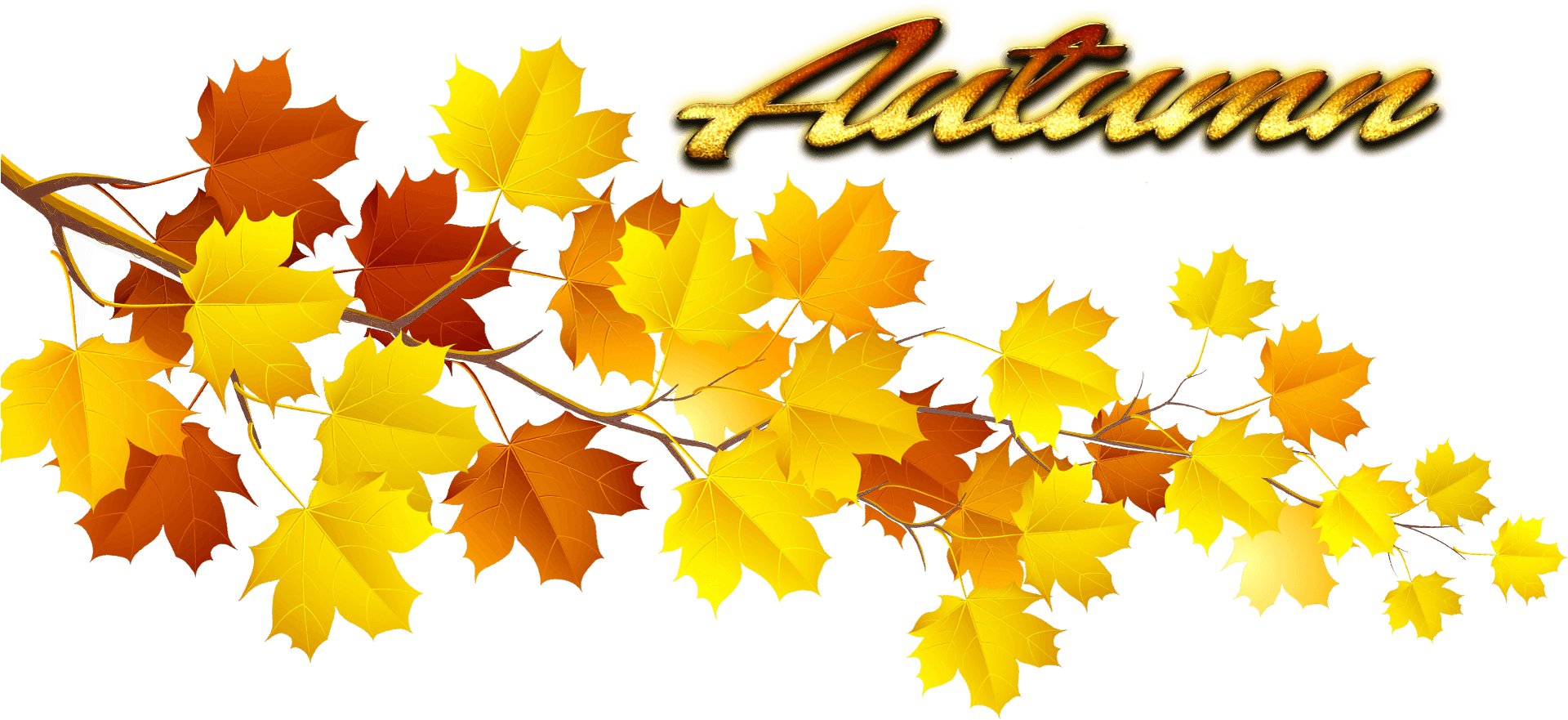 Autumn Leaves Graphic PNG
