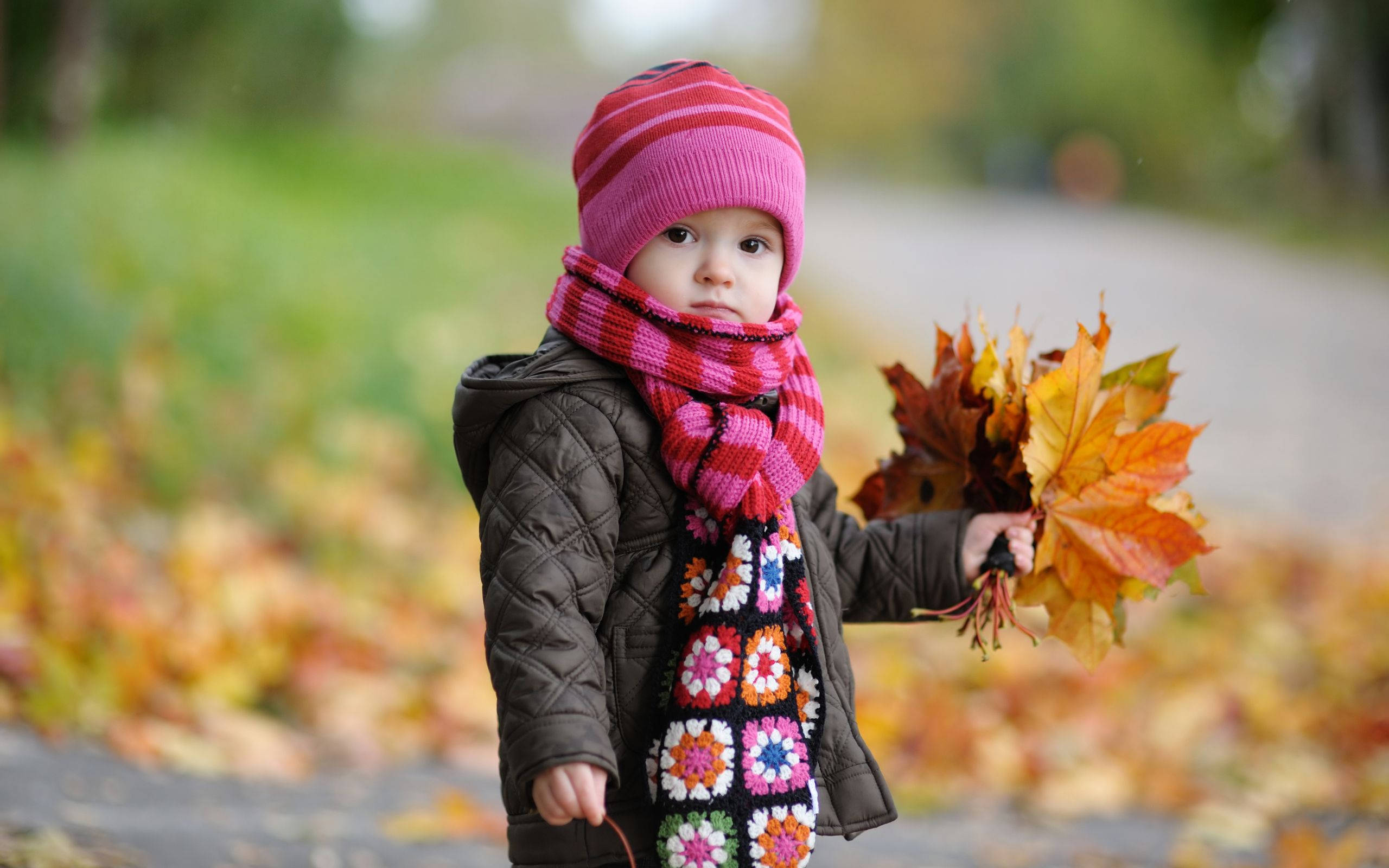Autumn Leaves Of Baby Love Wallpaper