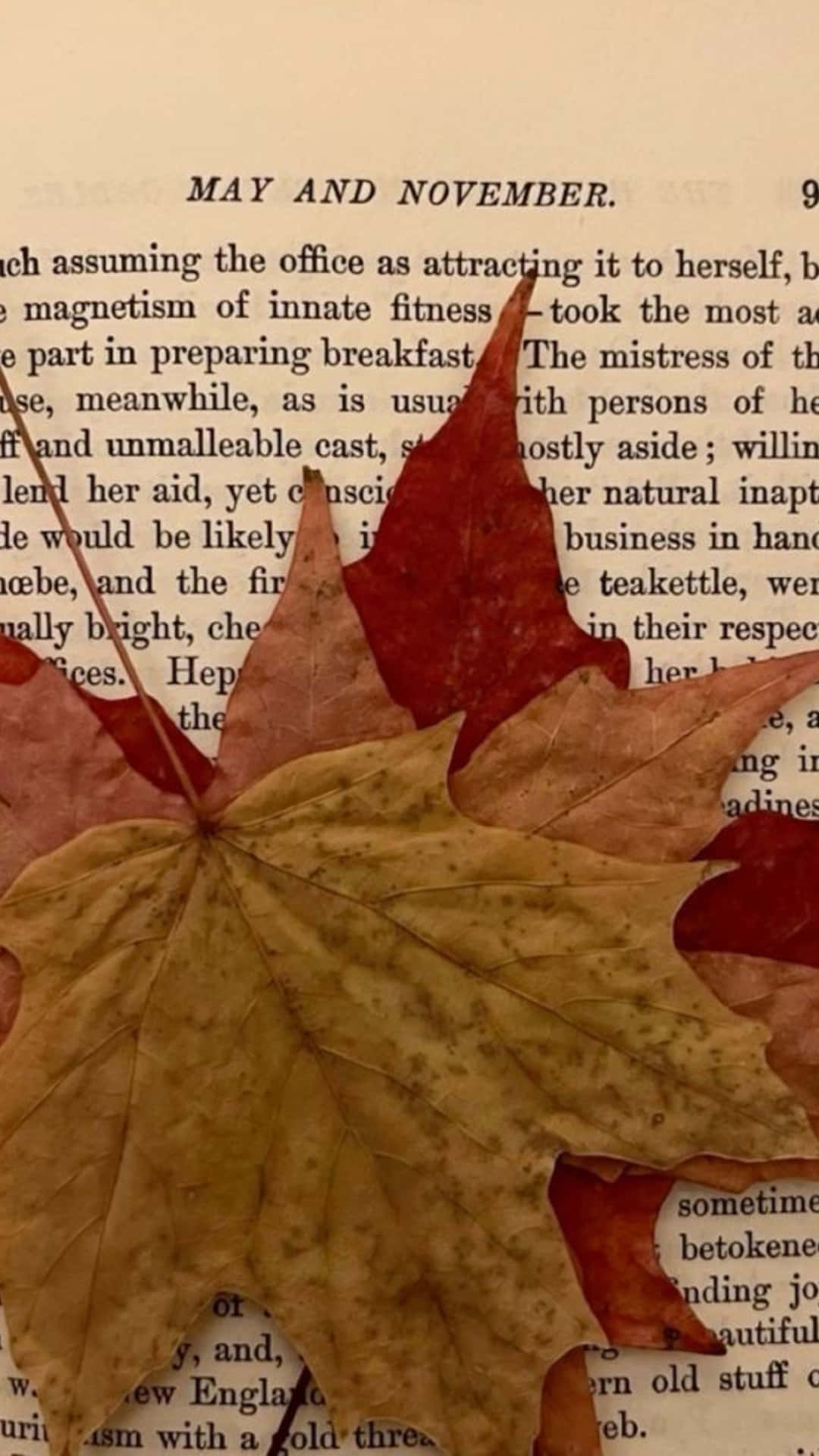 Autumn Leaves On Vintage Book Page Wallpaper