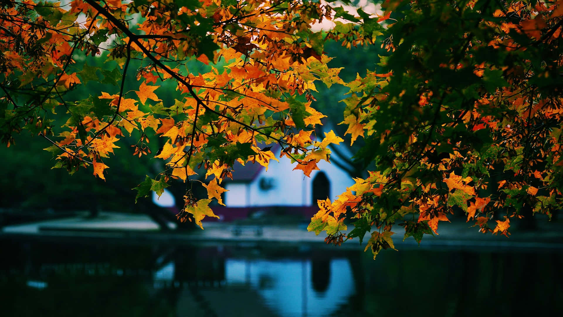 Autumn Leaves Over Pond Wallpaper Wallpaper