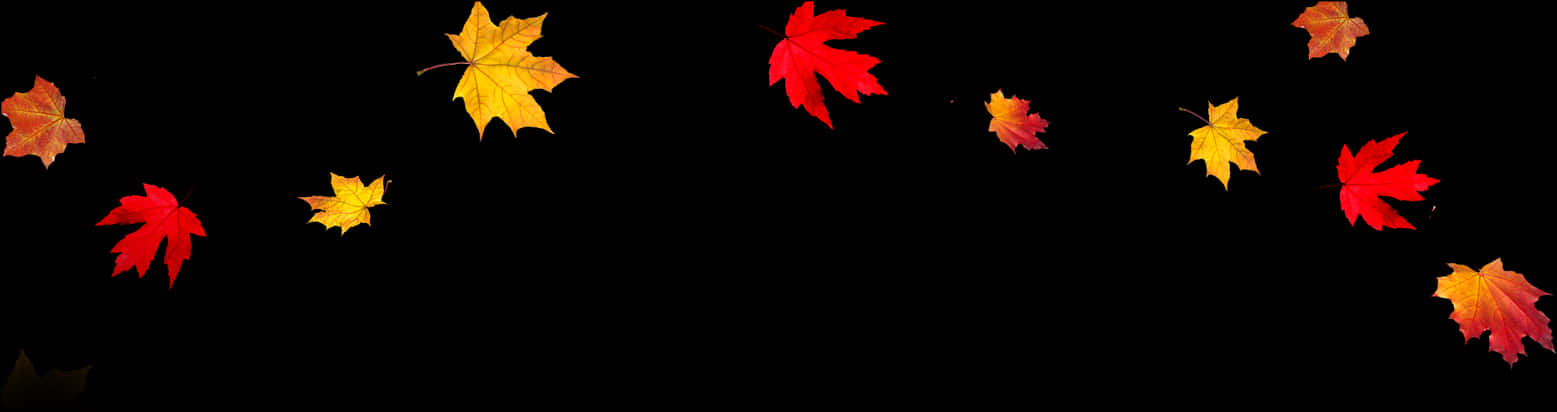 Autumn_ Leaves_ Panorama PNG