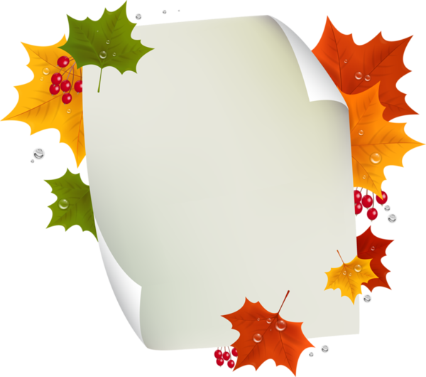 Autumn Leaves Paper Frame PNG
