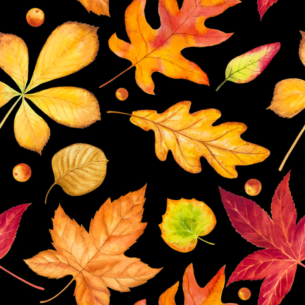 Autumn Leaves Pattern Black Background PNG