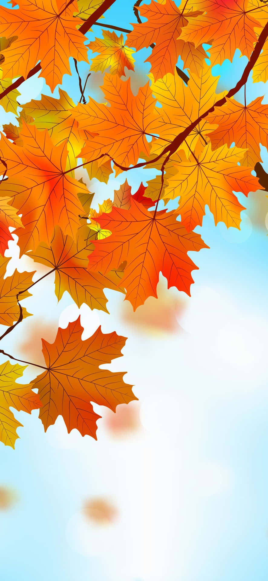 Efterårets blade på en gren med blå himmel Wallpaper