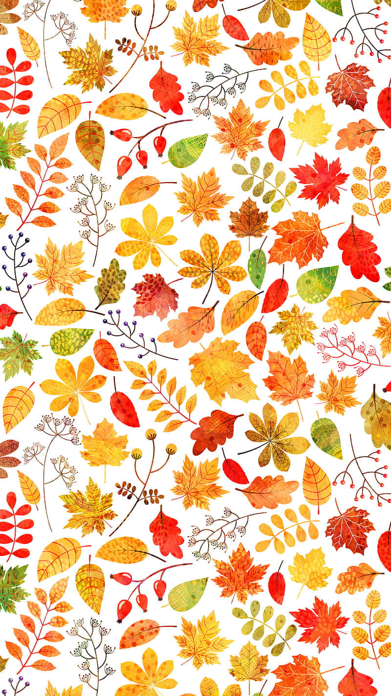Autumn leaves on a phone screen. Wallpaper