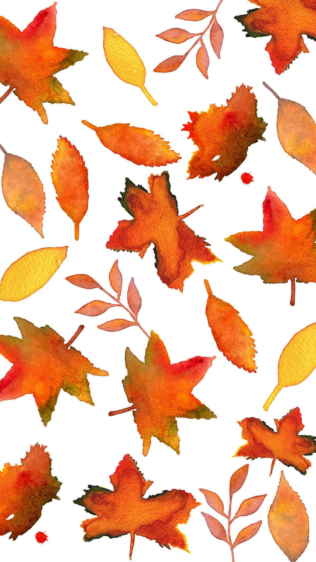 Enjoy the warmth of fall in your hands Wallpaper