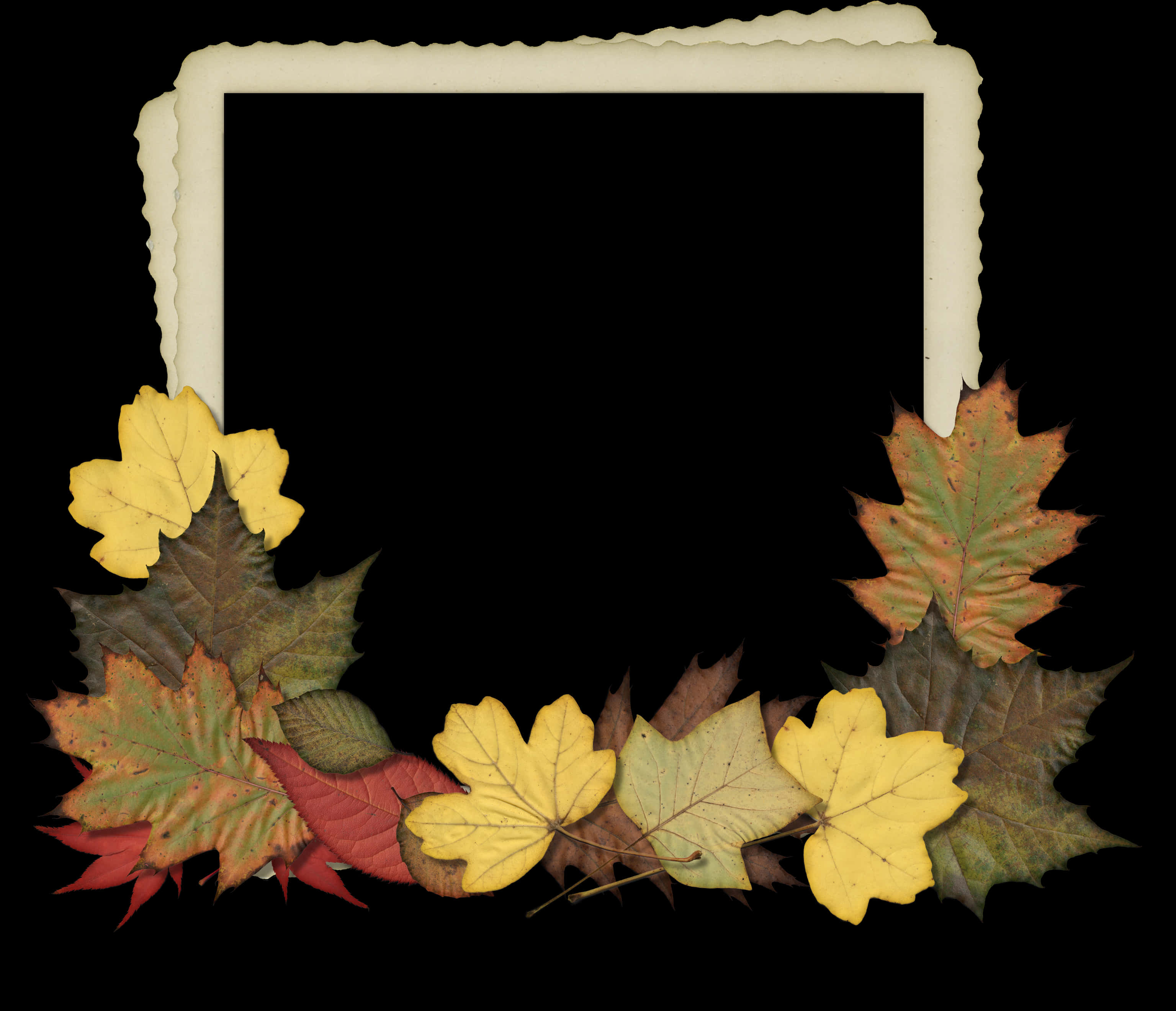 Autumn Leaves Photo Frame Design PNG