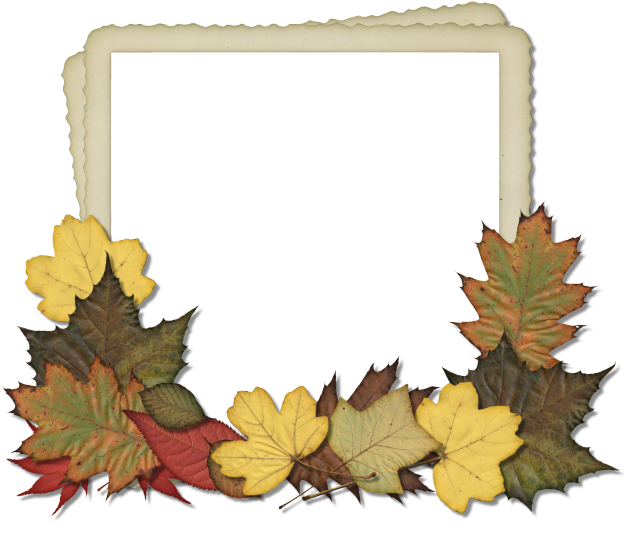 Autumn Leaves Photo Frame PNG