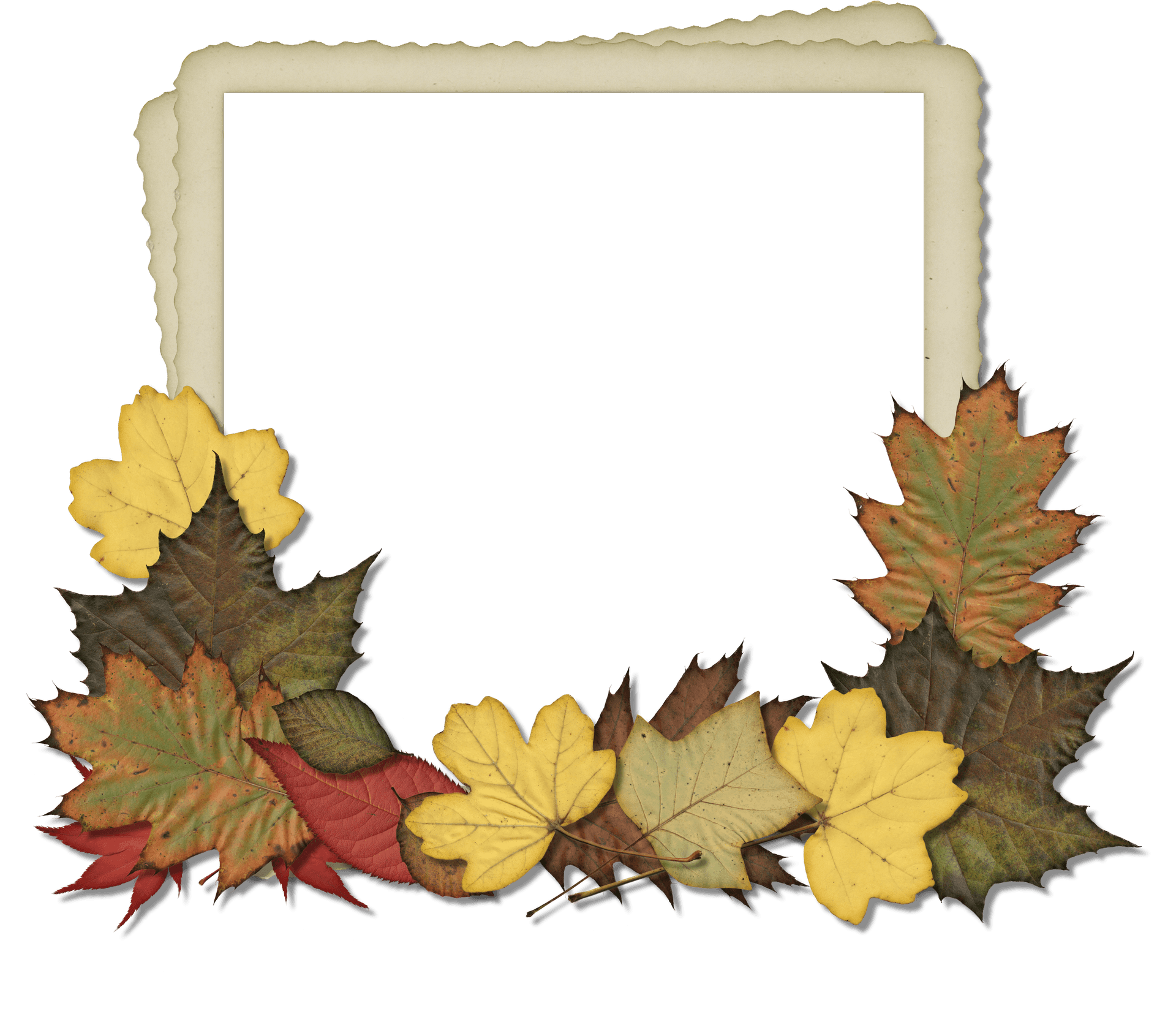 Autumn Leaves Photo Frame PNG