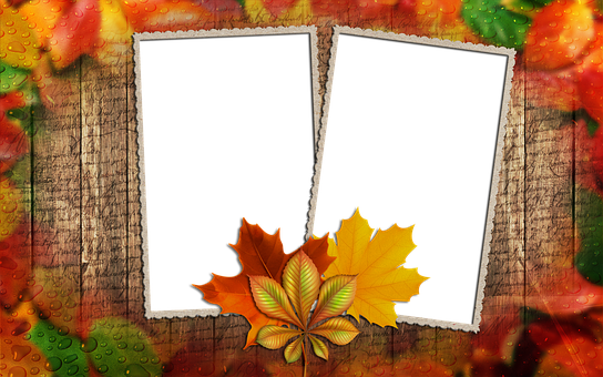Autumn Leaves Photo Frames PNG