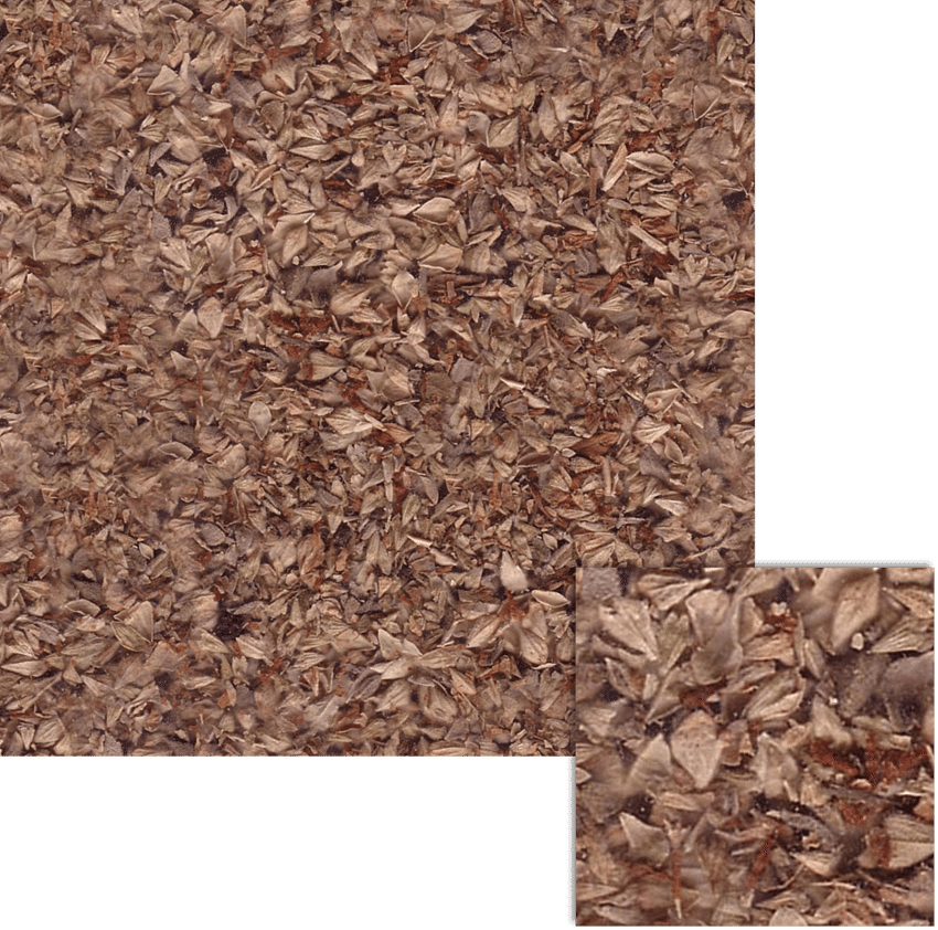 Autumn Leaves Texture Brown PNG