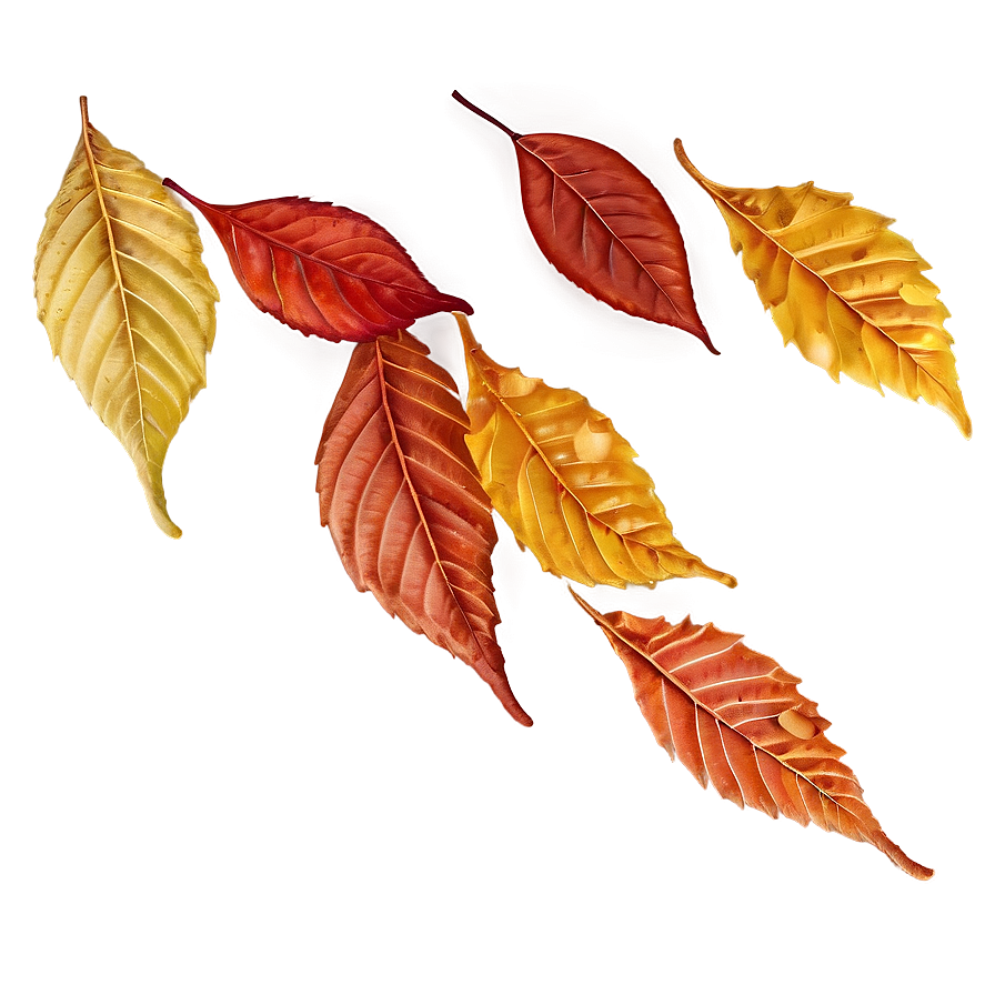 Autumn Leaves Trail Png Icf67 PNG