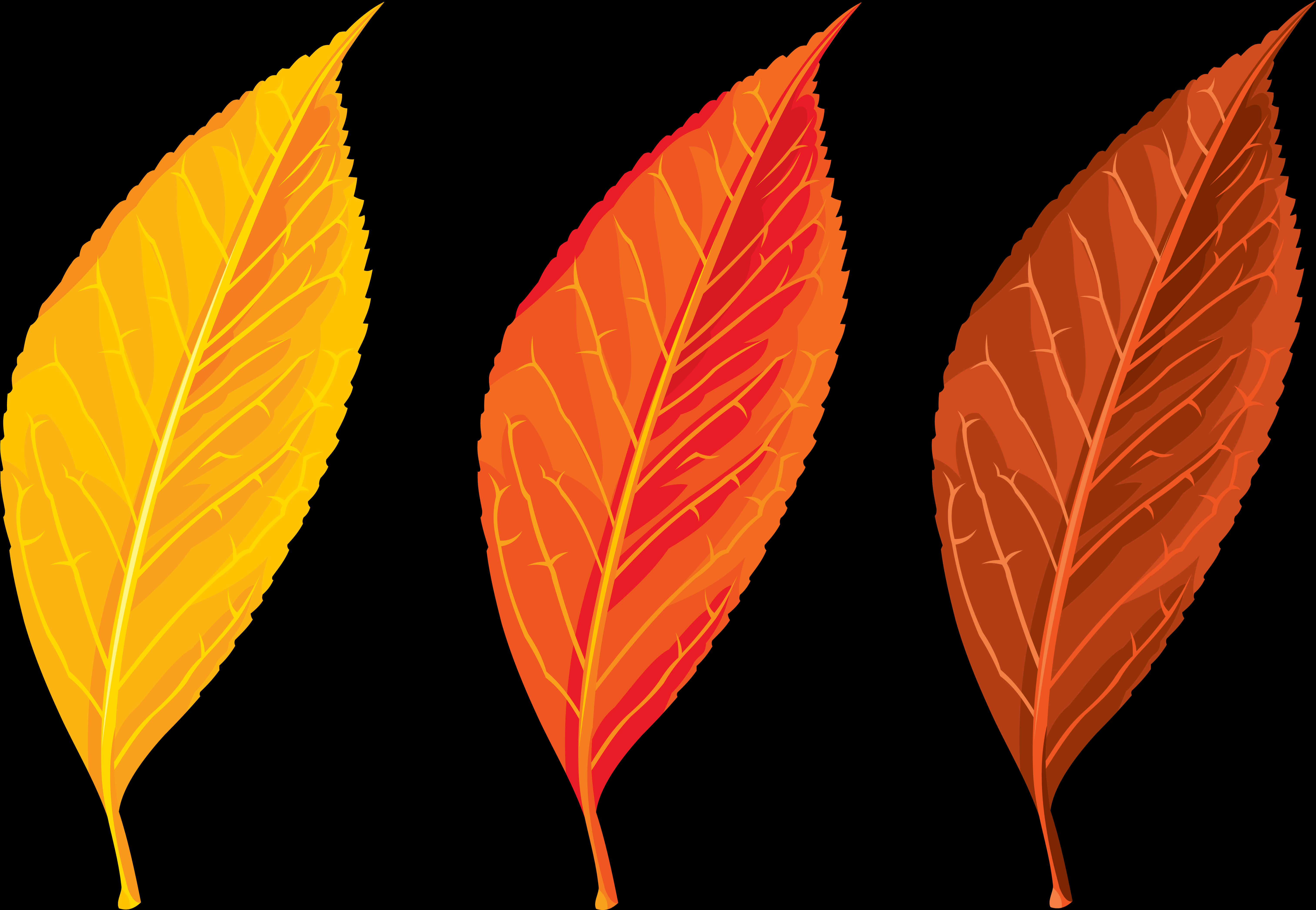 Download Autumn Leaves Vector Clipart | Wallpapers.com