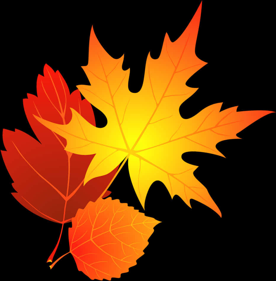 Autumn_ Leaves_ Vector_ Graphic PNG