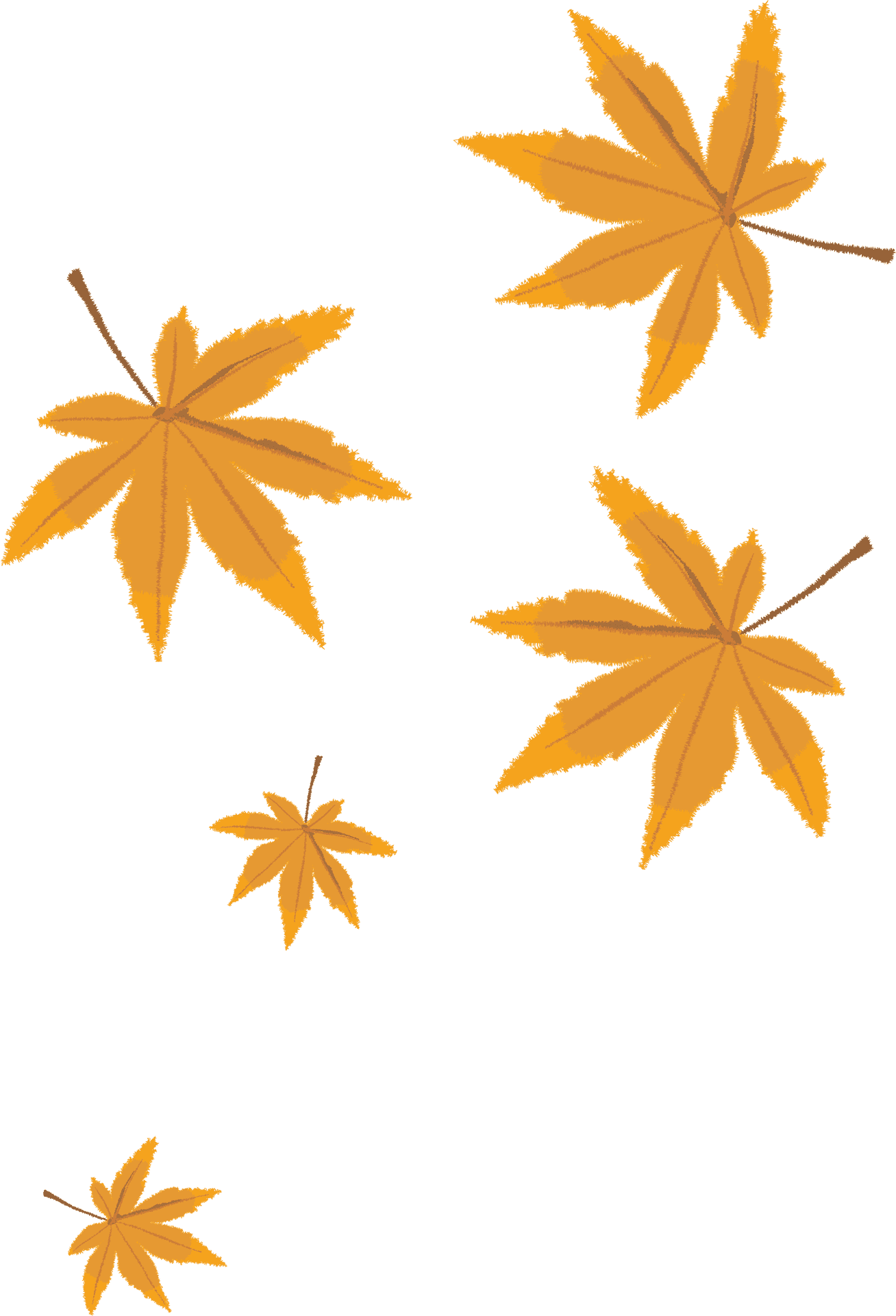 Autumn Leaves Vector Illustration PNG