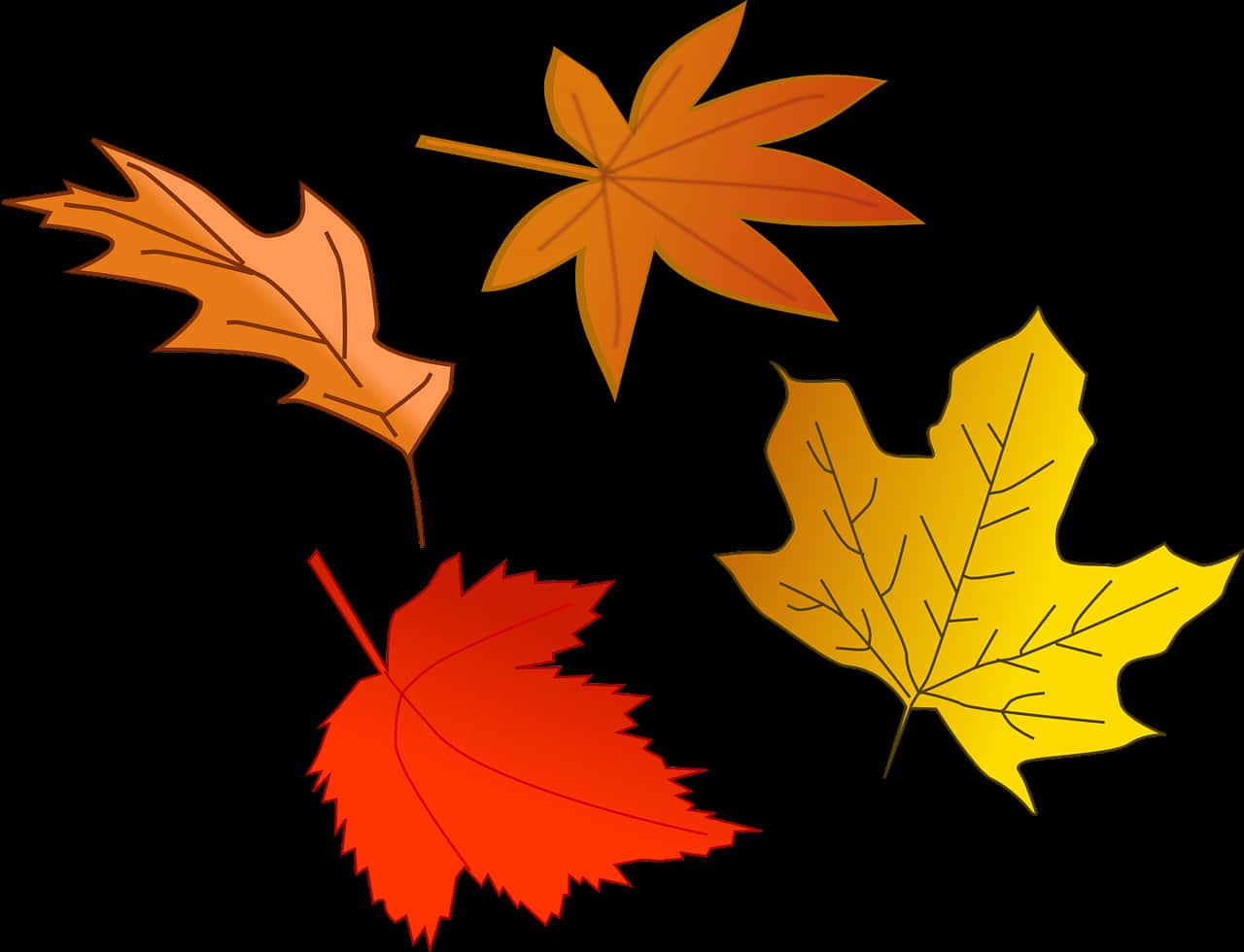 Autumn Leaves Vector Illustration PNG