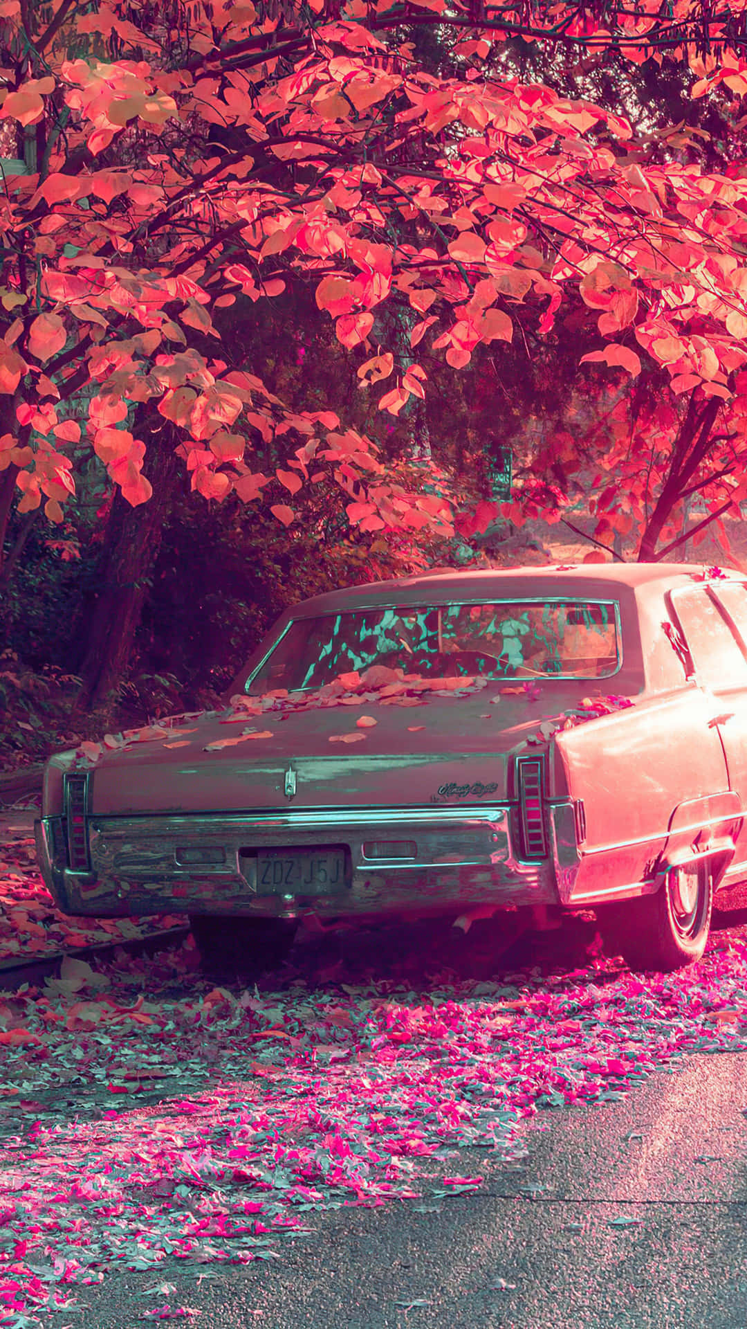 Autumn Leaves Vintage Car Wallpaper