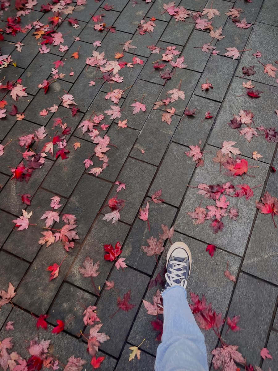 Autumn Leavesand Sneakerson Pavement Wallpaper