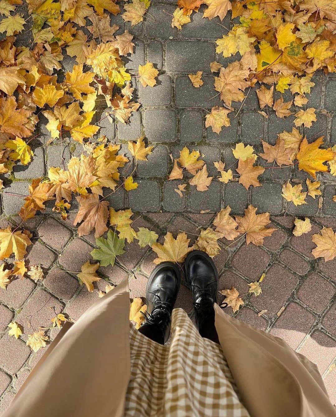 Autumn Leavesand Stylish Feet Wallpaper