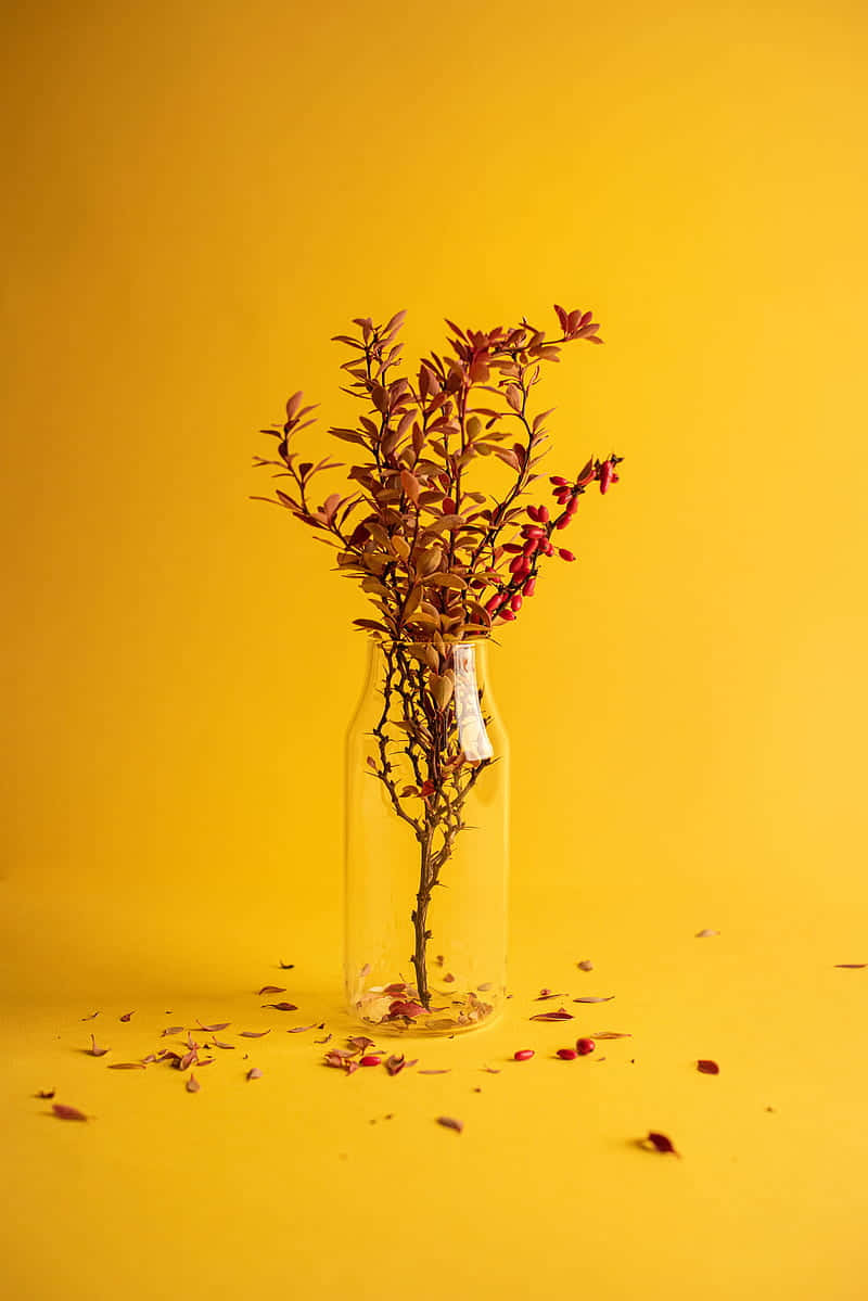 Autumn Leavesin Glass Vaseon Yellow Background Wallpaper