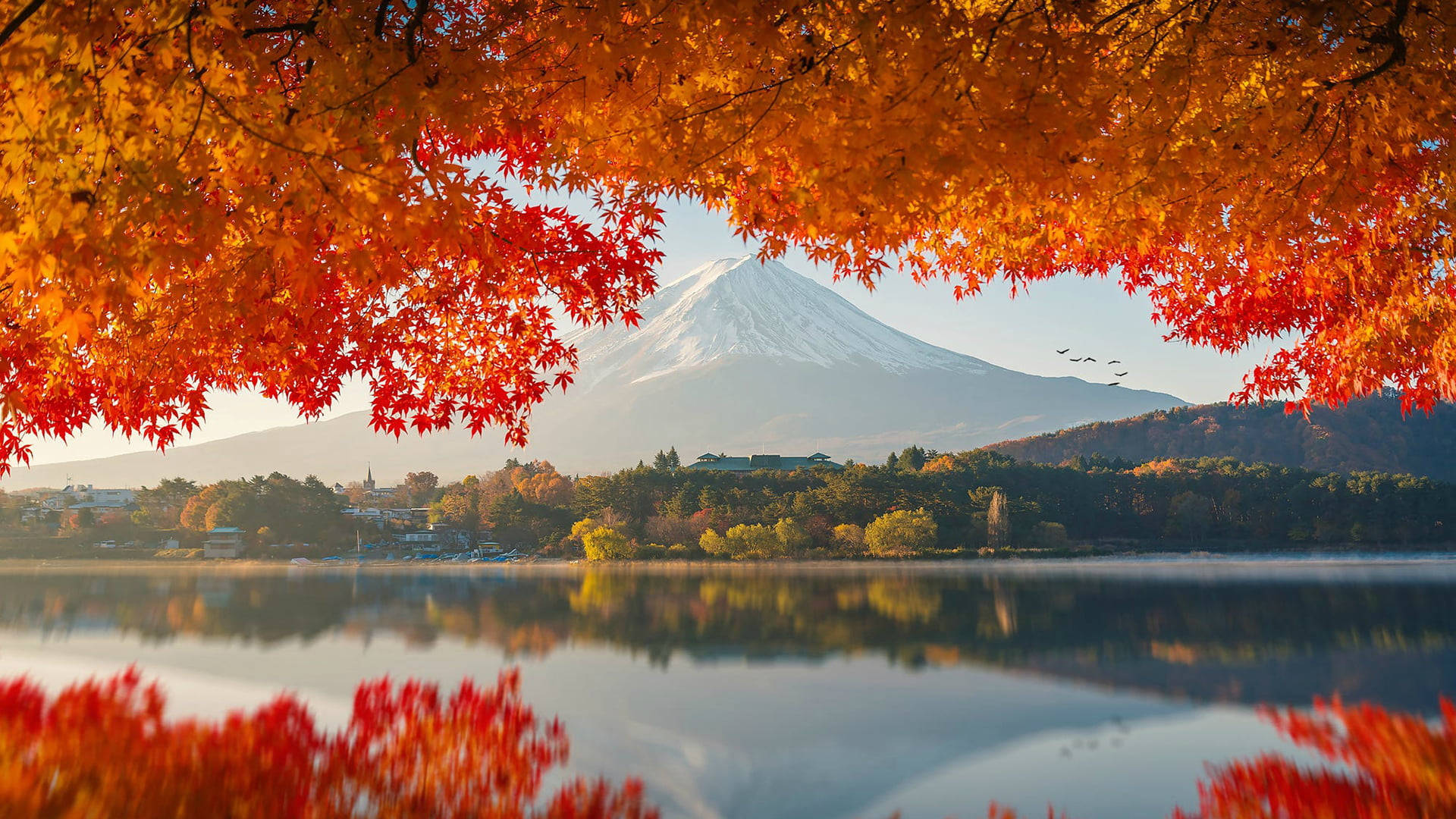Otoñomacbook Monte Fuji Fondo de pantalla