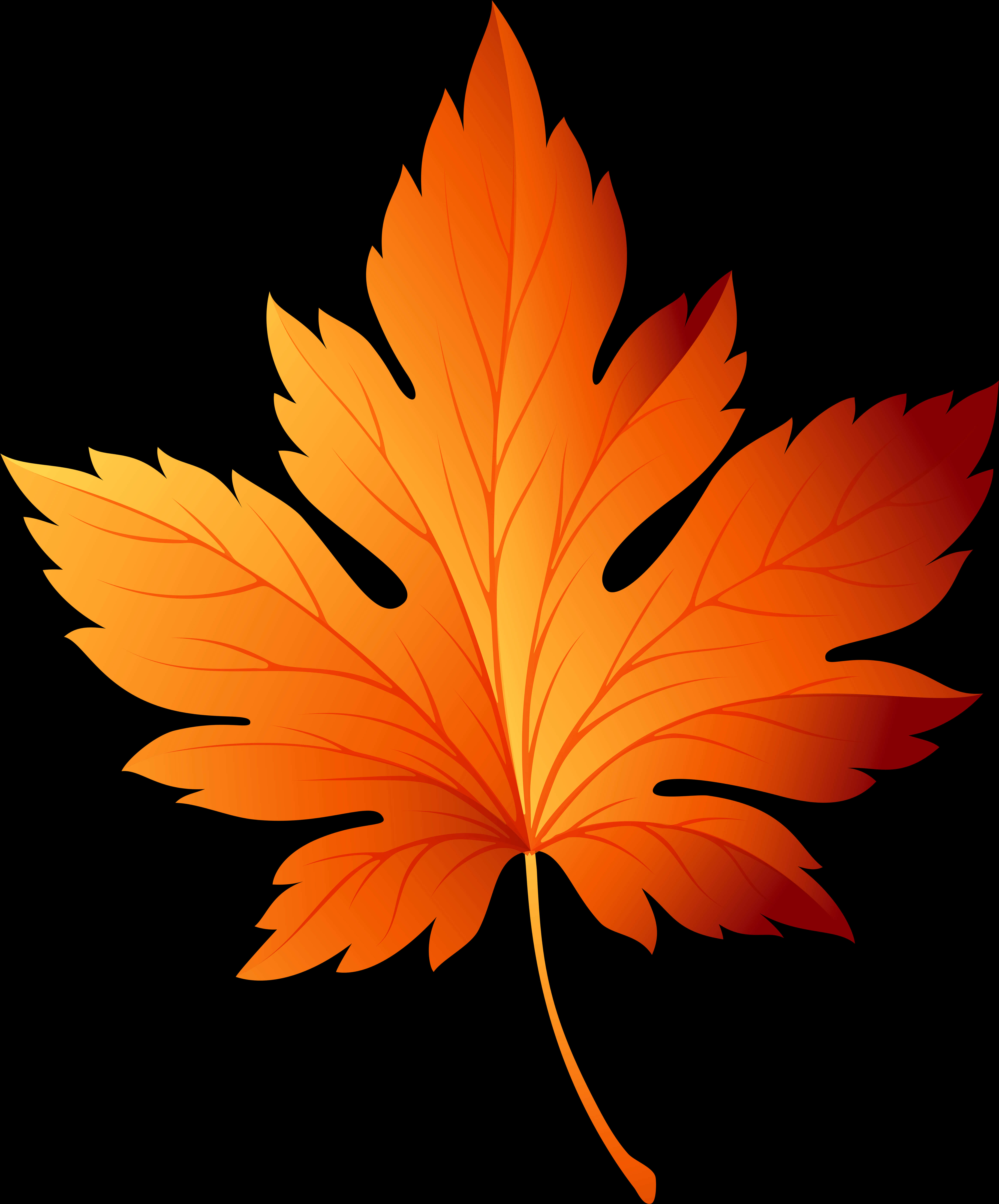 Autumn Maple Leaf Graphic PNG