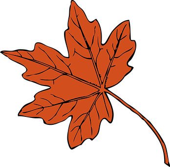 Autumn Maple Leaf Graphic PNG