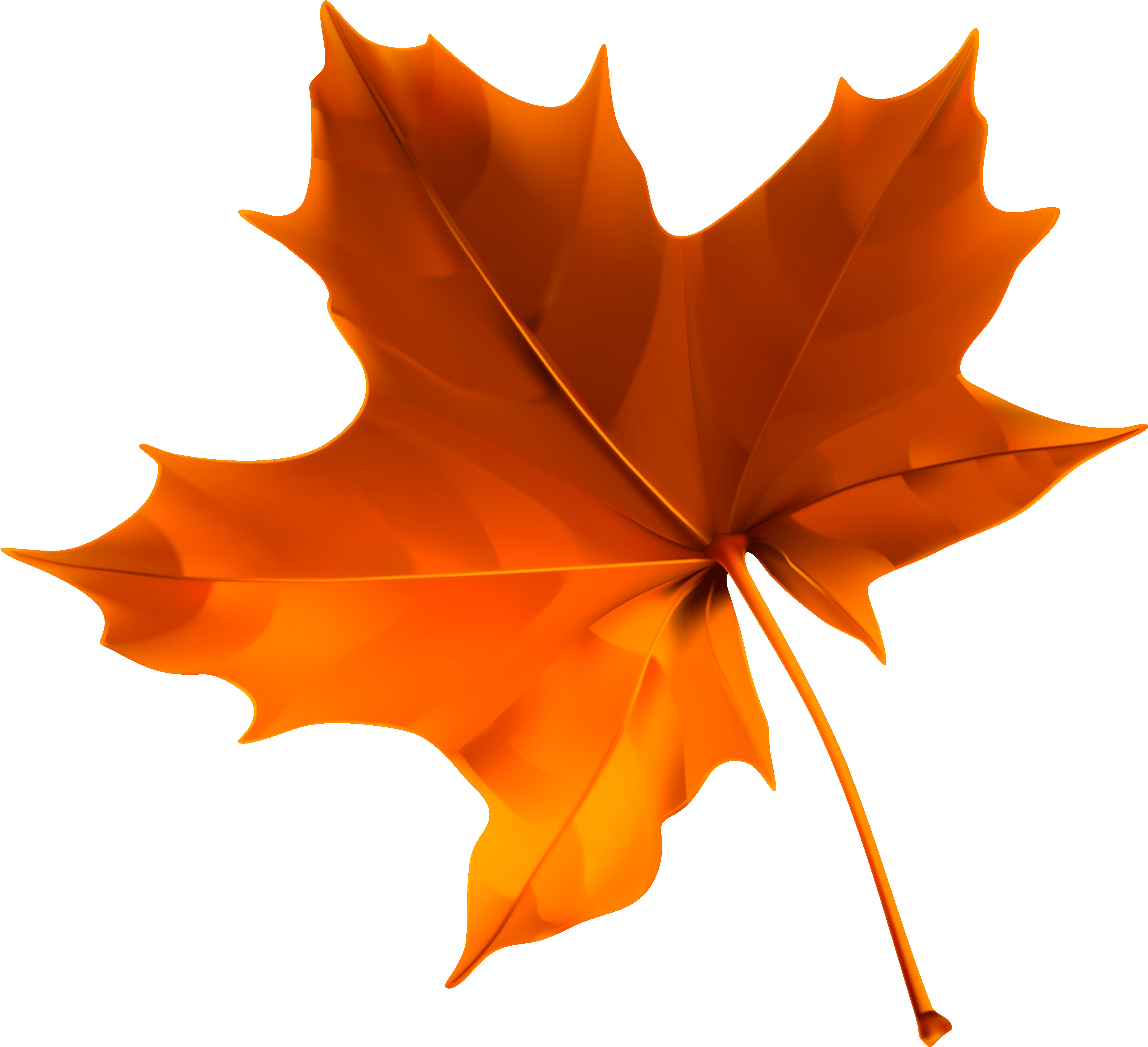 Autumn Maple Leaf Isolated PNG
