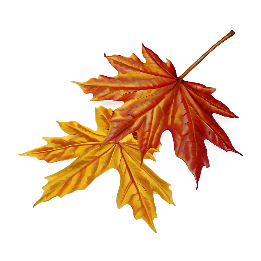 Autumn Maple Leaf Png 06202024 PNG