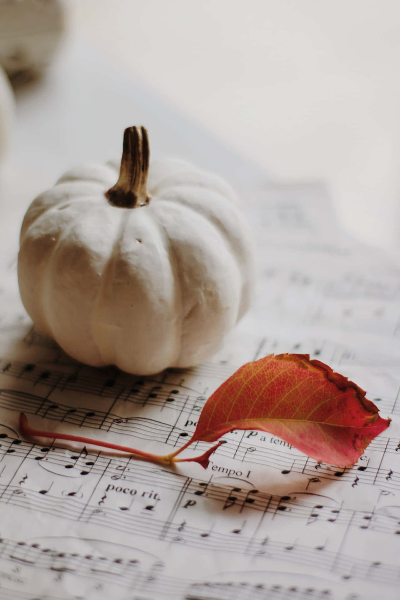 Autumn Melody Pumpkin Leaf Music Sheet Wallpaper