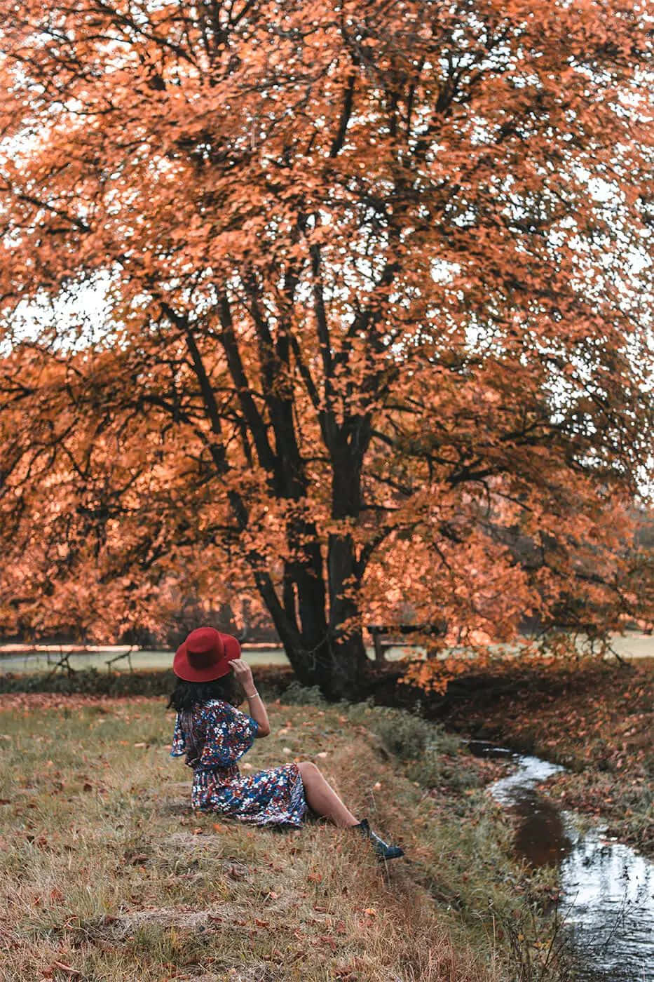 Autumn Mood Woman Under Tree.jpg Wallpaper
