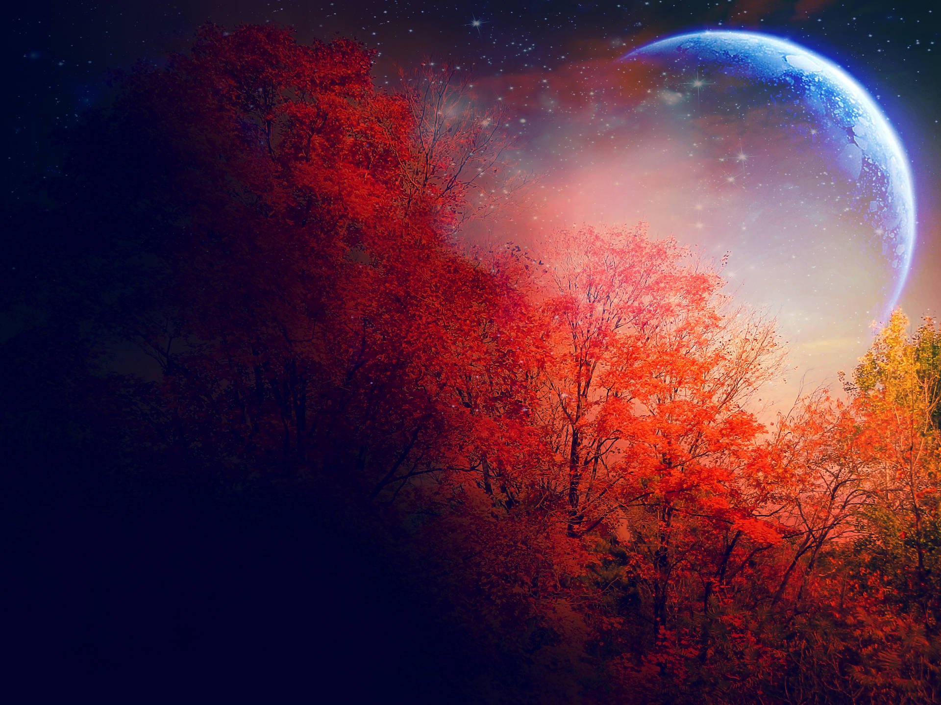 Autumn Moon Night Sky Wallpaper