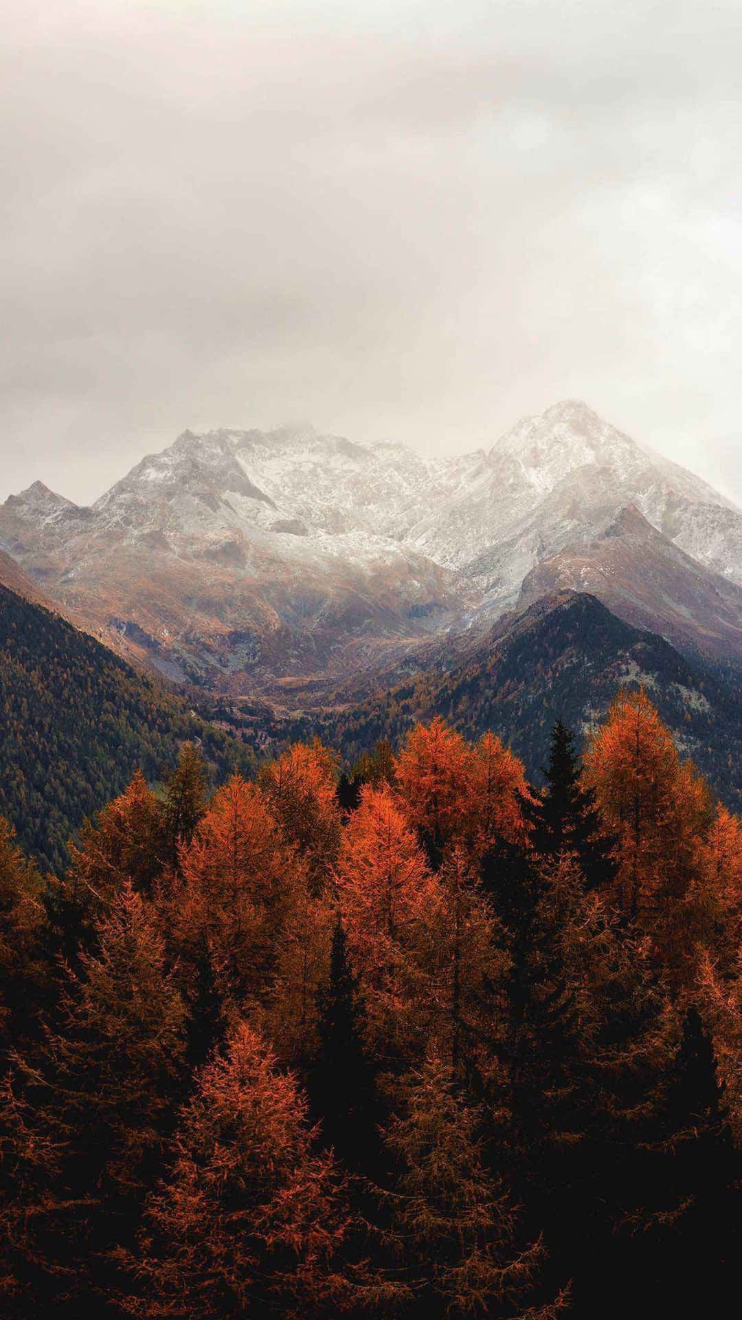 Autumn_ Mountain_ Mystique.jpg Wallpaper