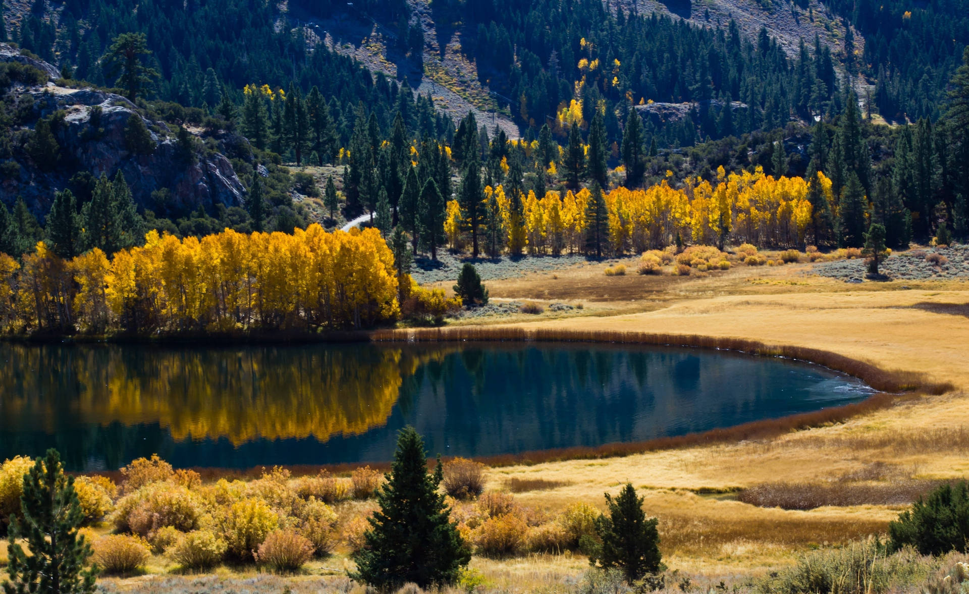 Autumn Mountains And Yellow Trees