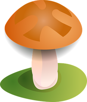 Autumn Mushroom Vector Illustration PNG