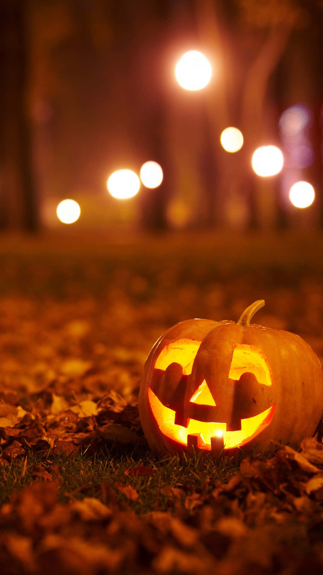 Autumn Night Jack O Lantern Wallpaper