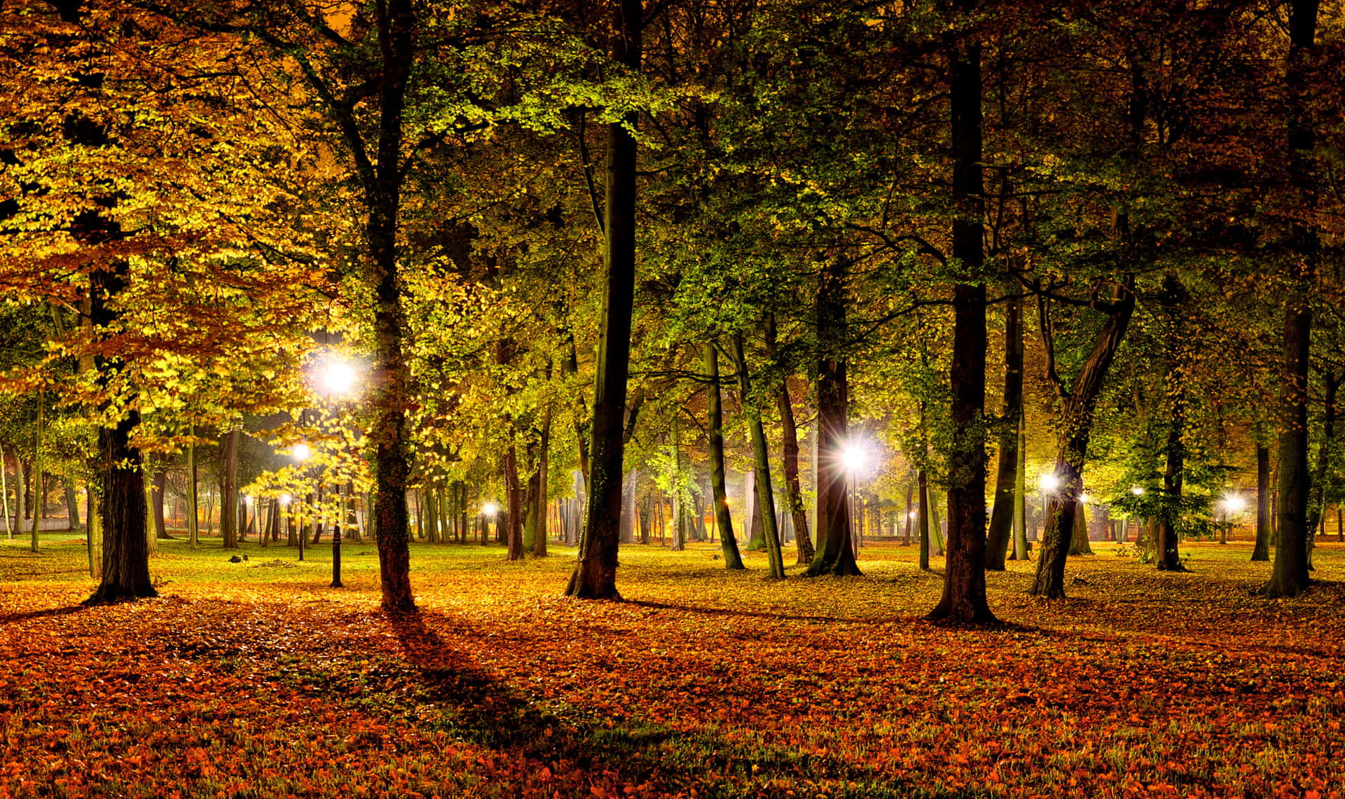 Download Autumn Night Park Lights Wallpaper | Wallpapers.com