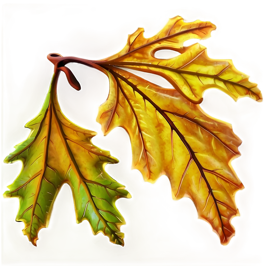 Autumn Oak Leaves Png Vcw PNG