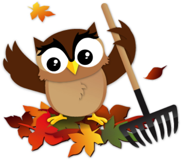 Autumn Owl Raking Leaves PNG