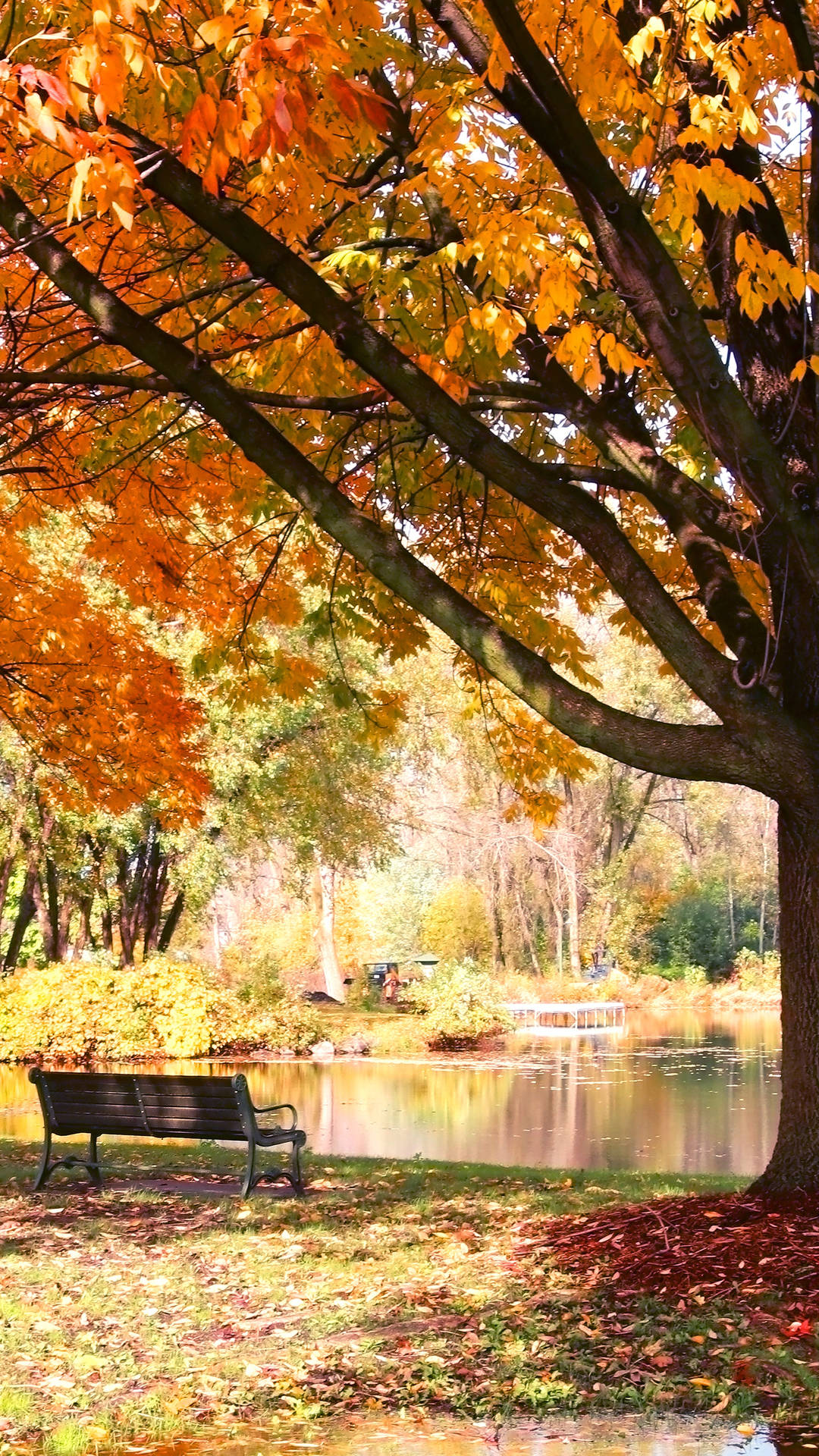 Autumn_ Park_ Bench_by_ Lake_4 K_ U H D Wallpaper