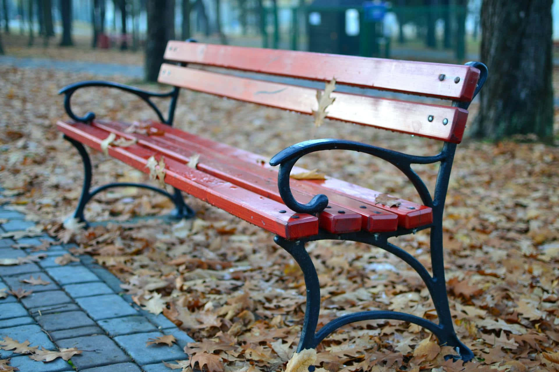 Autumn Park Bench Scene Wallpaper