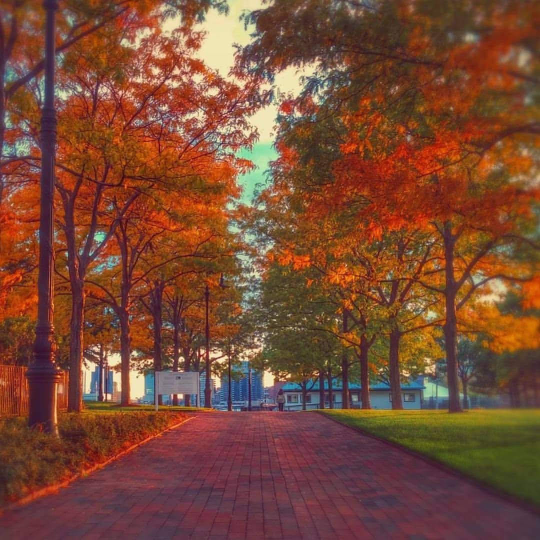 Autumn Park In Boston Wallpaper