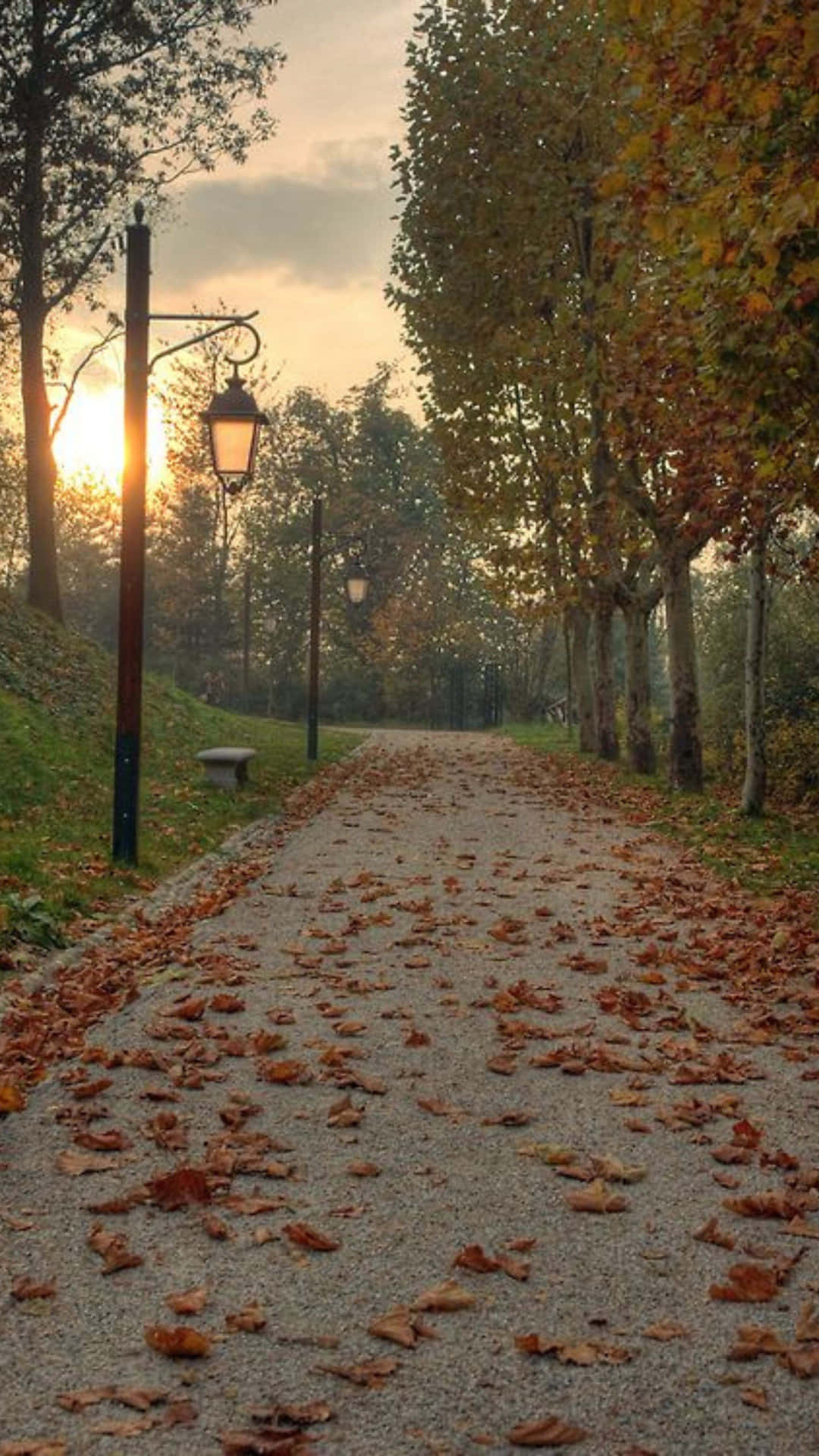 Autumn Park Path Sunset Wallpaper