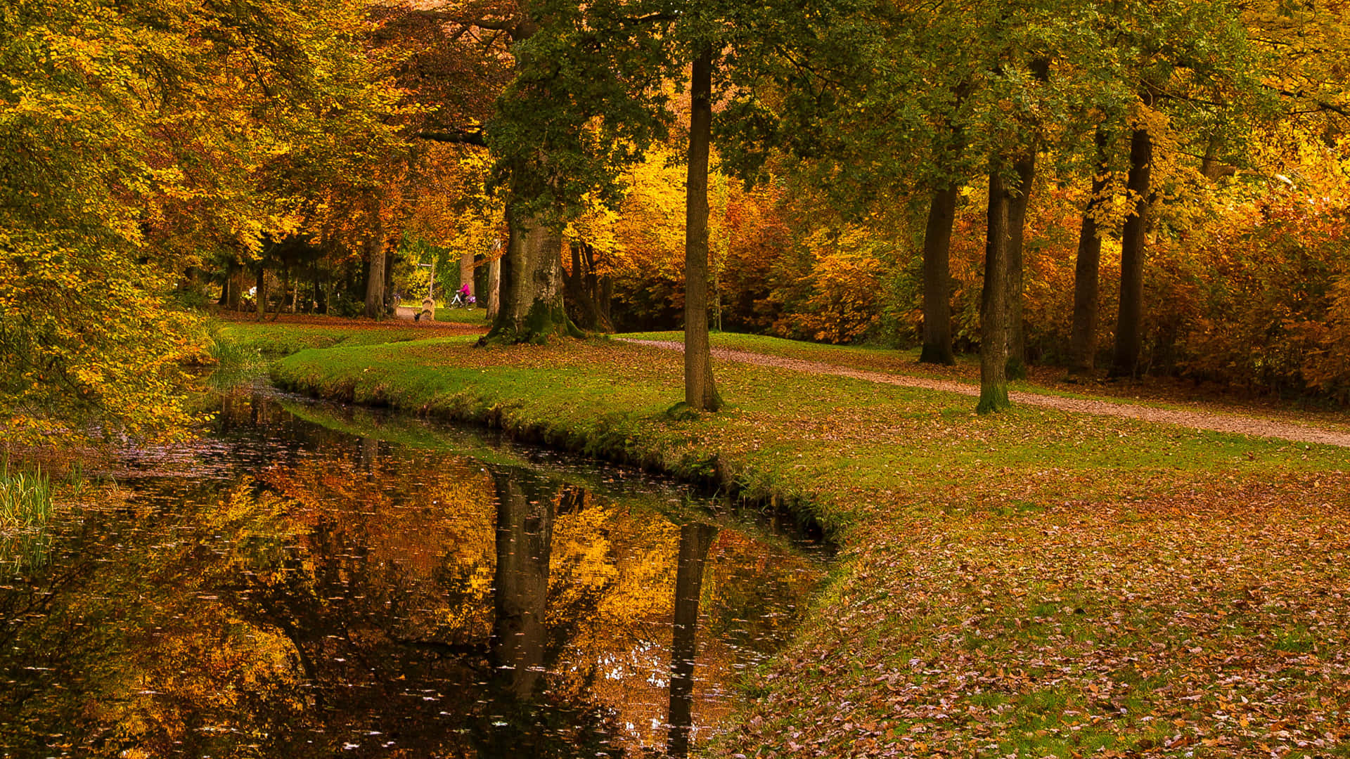 Autumn Park Scene Utrecht Wallpaper