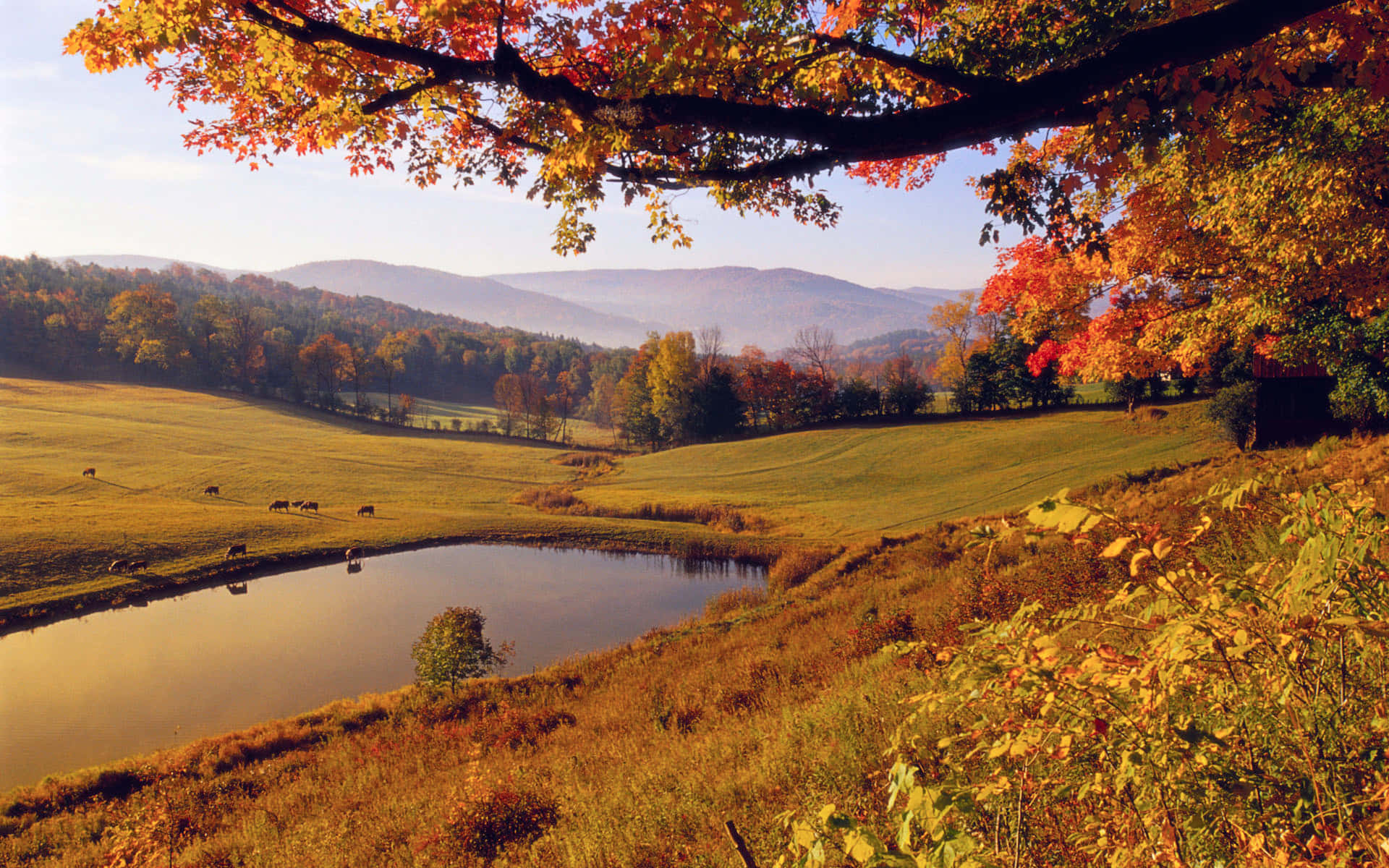 Autumn Pastoral Scene San Bernardino Wallpaper