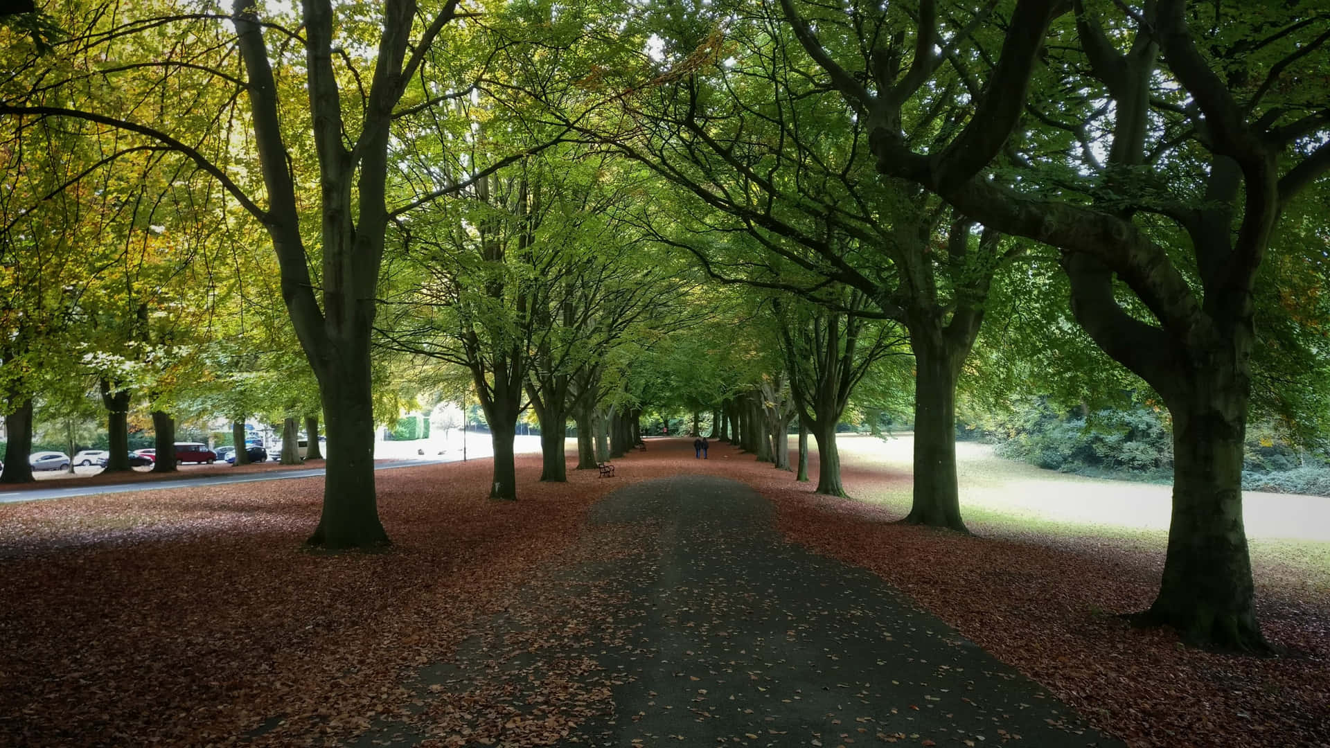 Autumn Pathway Bristol U K Wallpaper