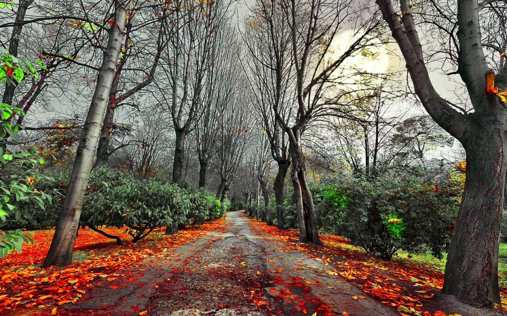 Autumn_ Pathway_ Mood Wallpaper