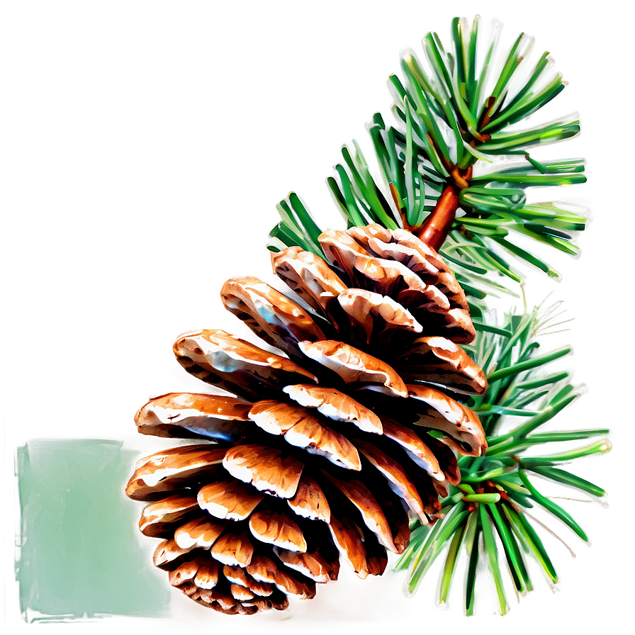 Autumn Pine Cone Png 06202024 PNG